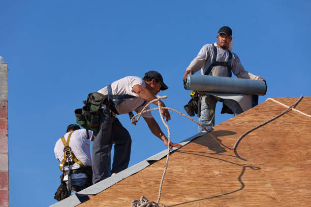 Roof Gutter Cleaning in Coral Springs, FL