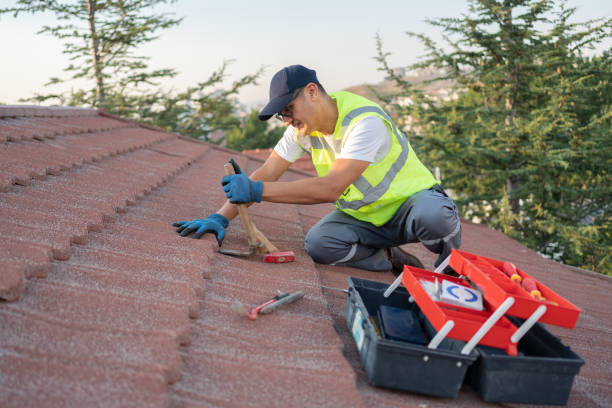 Professional Roofing Contractor in Coral Springs, FL